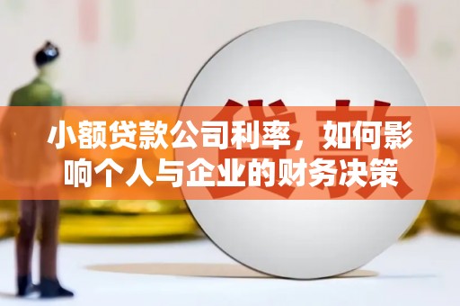 滨城小额贷款公司利率，如何影响个人与企业的财务决策