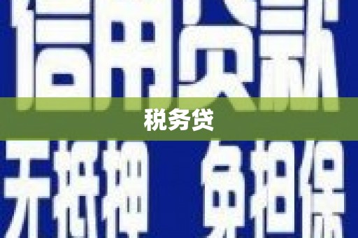 滨城税务贷