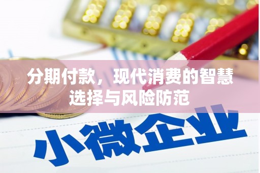 滨城分期付款，现代消费的智慧选择与风险防范