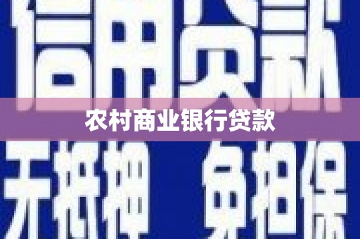 滨城农村商业银行贷款