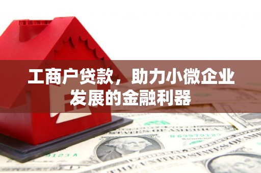 滨城工商户贷款，助力小微企业发展的金融利器