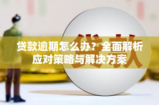 滨城贷款逾期怎么办？全面解析应对策略与解决方案