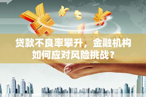 滨城贷款不良率攀升，金融机构如何应对风险挑战？