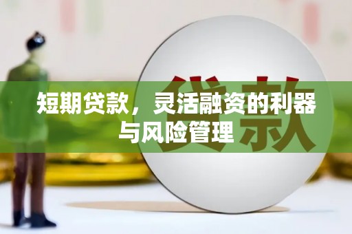 滨城短期贷款，灵活融资的利器与风险管理