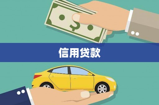 滨城信用贷款
