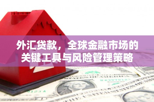 滨城外汇贷款，全球金融市场的关键工具与风险管理策略