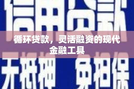 滨城循环贷款，灵活融资的现代金融工具