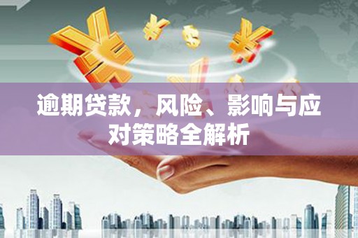 滨城逾期贷款，风险、影响与应对策略全解析