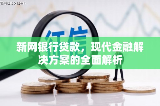滨城新网银行贷款，现代金融解决方案的全面解析