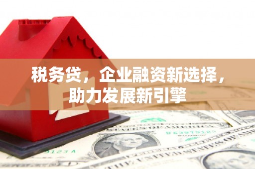 滨城税务贷，企业融资新选择，助力发展新引擎