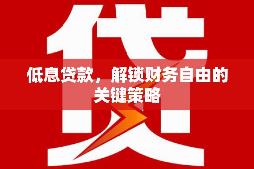 滨城低息贷款，解锁财务自由的关键策略