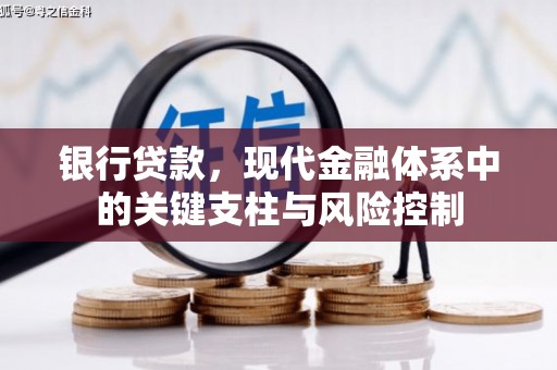 滨城银行贷款，现代金融体系中的关键支柱与风险控制