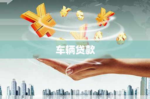 滨城车辆贷款
