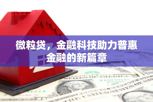 滨城微粒贷，金融科技助力普惠金融的新篇章
