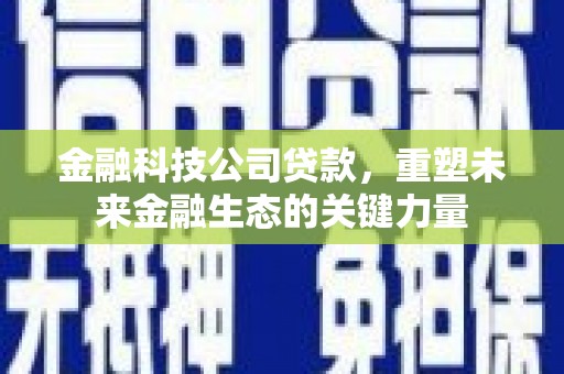 滨城金融科技公司贷款，重塑未来金融生态的关键力量