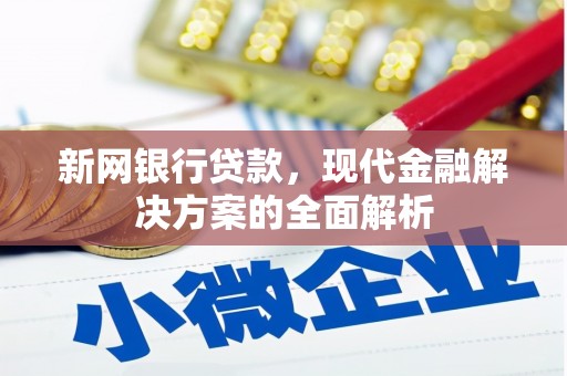 滨城新网银行贷款，现代金融解决方案的全面解析