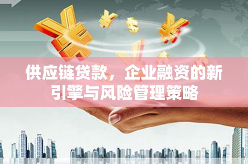 滨城供应链贷款，企业融资的新引擎与风险管理策略