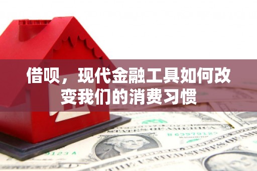 滨城借呗，现代金融工具如何改变我们的消费习惯