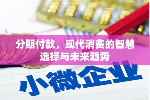 滨城分期付款，现代消费的智慧选择与未来趋势