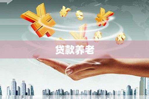 滨城贷款养老
