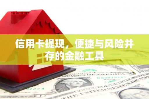 滨城信用卡提现，便捷与风险并存的金融工具