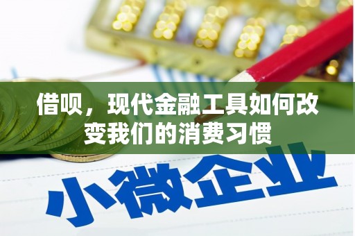 滨城借呗，现代金融工具如何改变我们的消费习惯