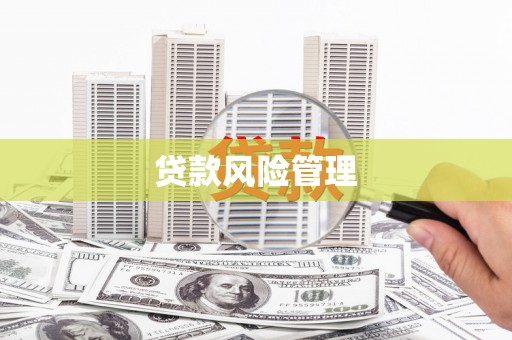 滨城贷款风险管理