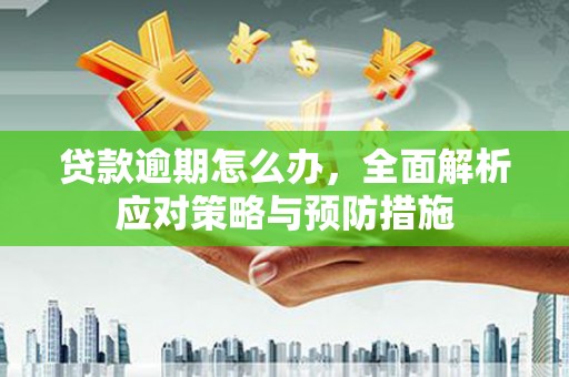 滨城贷款逾期怎么办，全面解析应对策略与预防措施