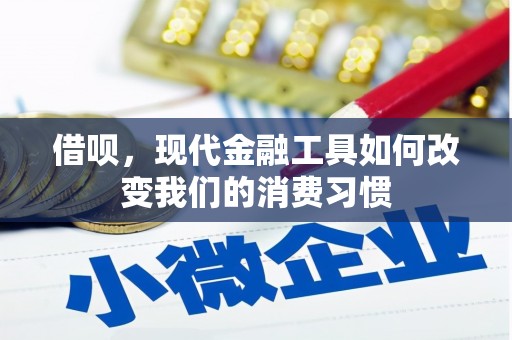 滨城借呗，现代金融工具如何改变我们的消费习惯