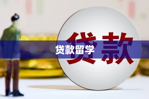 滨城贷款留学