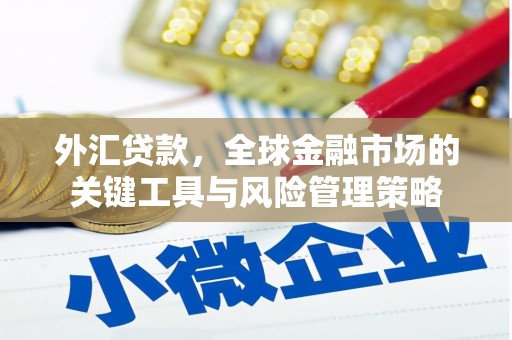 滨城外汇贷款，全球金融市场的关键工具与风险管理策略