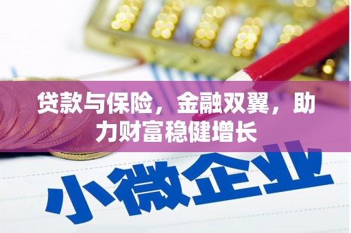 滨城贷款与保险，金融双翼，助力财富稳健增长