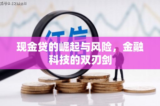 滨城现金贷的崛起与风险，金融科技的双刃剑