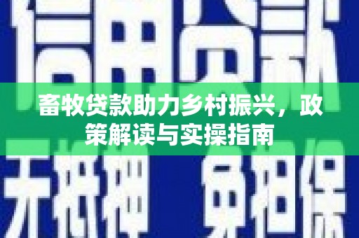 滨城畜牧贷款助力乡村振兴，政策解读与实操指南