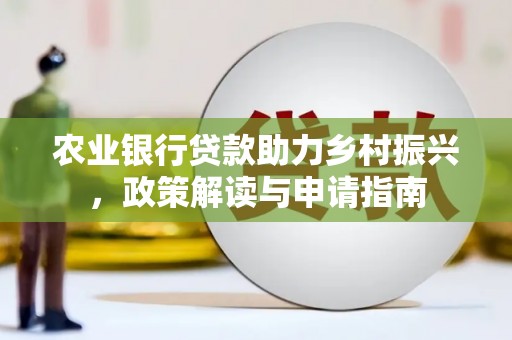 滨城农业银行贷款助力乡村振兴，政策解读与申请指南