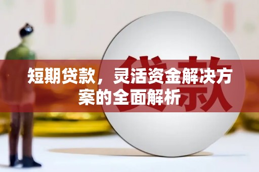滨城短期贷款，灵活资金解决方案的全面解析