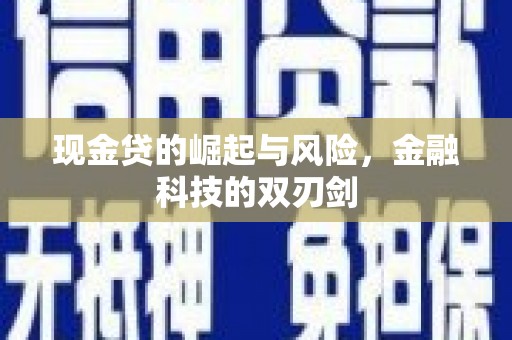 滨城现金贷的崛起与风险，金融科技的双刃剑