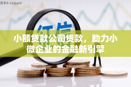 滨城小额贷款公司贷款，助力小微企业的金融新引擎