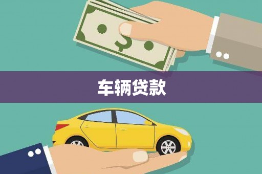 滨城车辆贷款