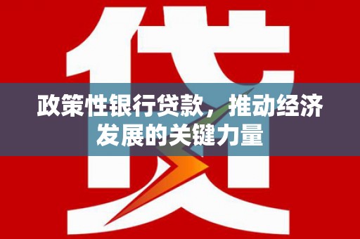 滨城政策性银行贷款，推动经济发展的关键力量