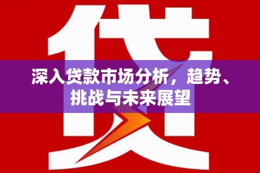 滨城深入贷款市场分析，趋势、挑战与未来展望