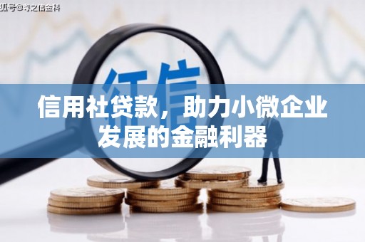 滨城信用社贷款，助力小微企业发展的金融利器