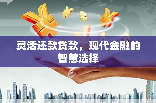 滨城灵活还款贷款，现代金融的智慧选择