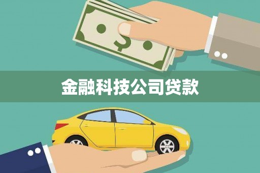 滨城金融科技公司贷款