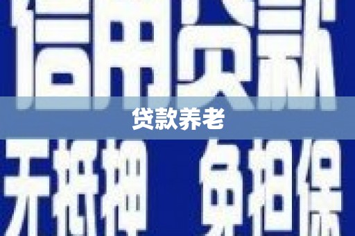 滨城贷款养老