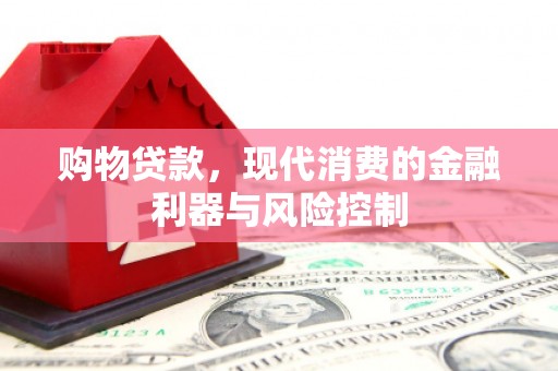 滨城购物贷款，现代消费的金融利器与风险控制