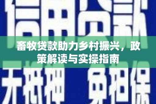 滨城畜牧贷款助力乡村振兴，政策解读与实操指南