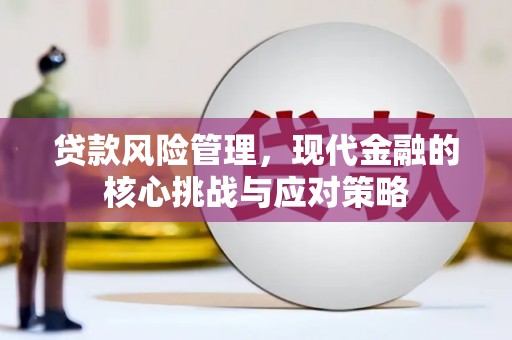 滨城贷款风险管理，现代金融的核心挑战与应对策略