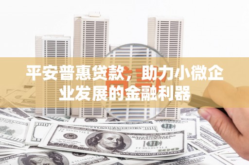 滨城平安普惠贷款，助力小微企业发展的金融利器