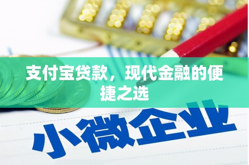 滨城支付宝贷款，现代金融的便捷之选